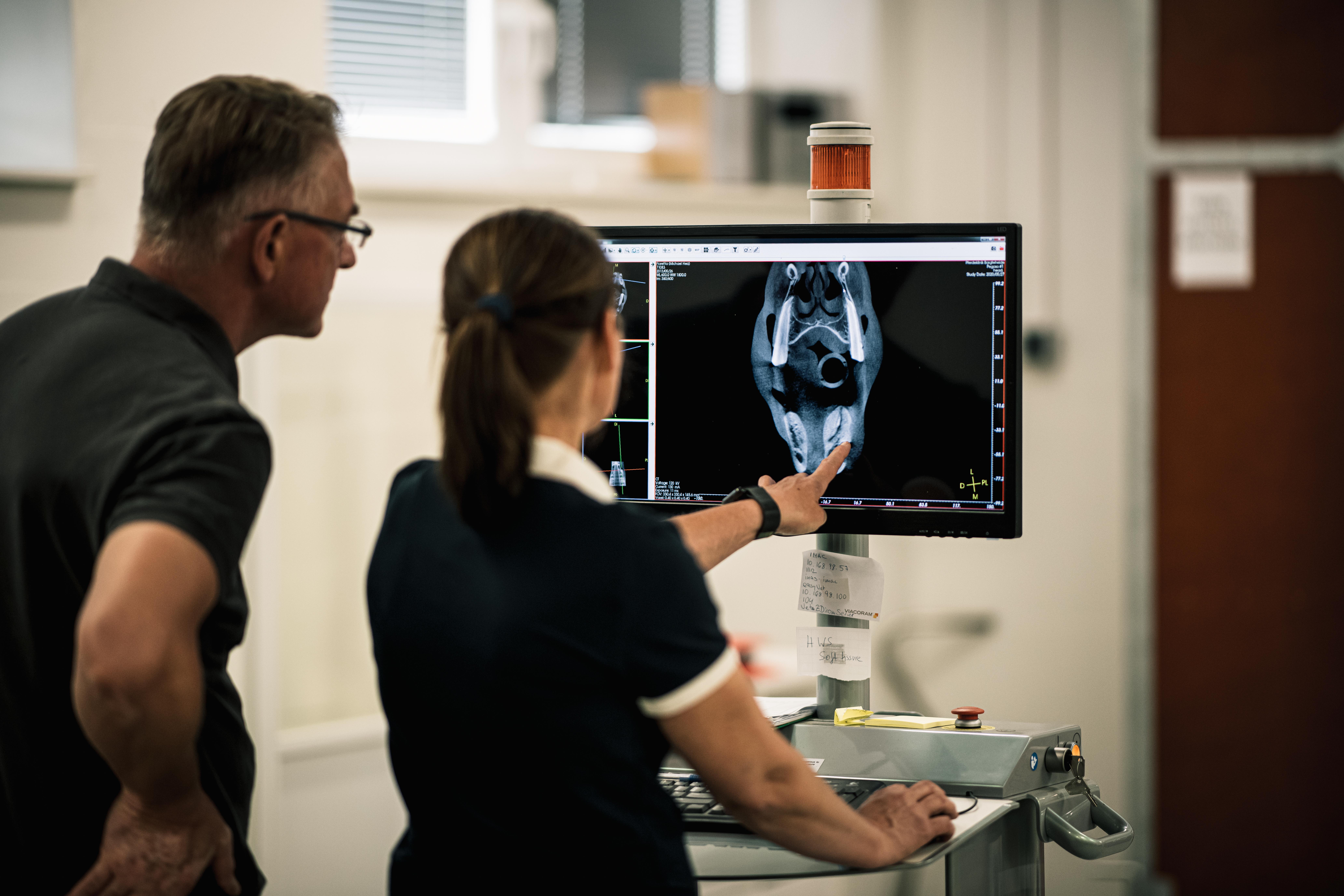 Pferdeklinik Bargteheide GmbH & Co. KG - unsere Vision